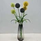 ball wholesale flowers